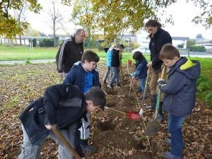 Die neue Hecke im Beerengarten