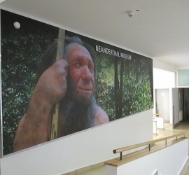 Neanderthal Museum